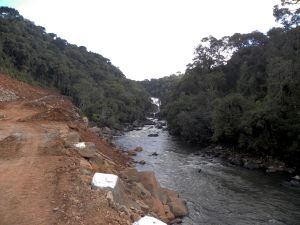 DSCN6596