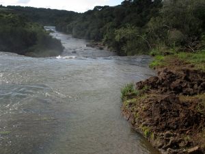 IMG_3187