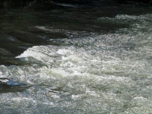 IMG_3192