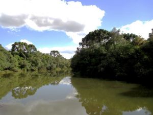 IMG_3199-reflexos-no-rio