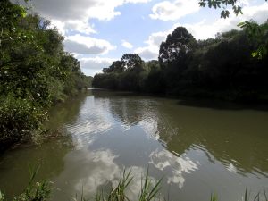IMG_3209