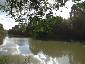IMG_3210