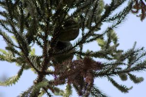 IMG_5459