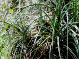 IMG_5470