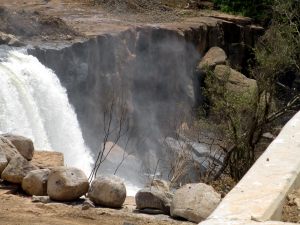 IMG_4967