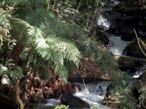 IMG_4995