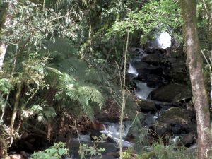IMG_5001