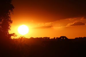 IMG_8354