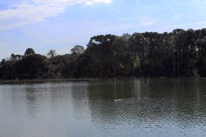 IMG_8602